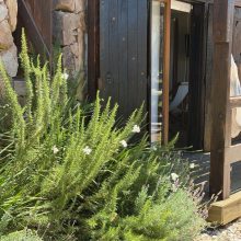 Esteños de la Pedrera - La Pedrera - Uruguay - Rocha - playa (12)